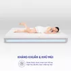 Nệm foam Comfy Lux 1.0 cao cấp kháng khuẩn kép dày 20cm - Ảnh thumb 8