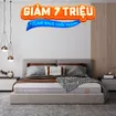 Nệm foam Comfy Lux 2.0 cao cấp kháng khuẩn kép dày 22cm - Ảnh thumb 1
