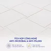 Nệm foam Comfy Lux 2.0 cao cấp kháng virus dày 22cm - Ảnh thumb 9