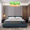 Nệm lò xo Spring Air Back Supporter Firm hỗ trợ nâng đỡ dày 25cm - Ảnh thumb 1