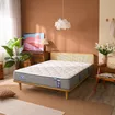 Nệm lò xo Spring Air Back Supporter Firm hỗ trợ nâng đỡ dày 25cm - Ảnh thumb 11