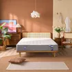 Nệm lò xo Spring Air Back Supporter Firm hỗ trợ nâng đỡ dày 25cm - Ảnh thumb 11