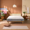 Nệm lò xo Spring Air Back Supporter Firm hỗ trợ nâng đỡ dày 25cm - Ảnh thumb 1
