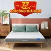 Nệm foam Goodnight Hachi giảm áp lực dày 15cm - Ảnh thumb 2