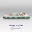 Nệm cao su thiên nhiên Gummi Premium detox giấc ngủ dày 10cm - Ảnh thumb 5