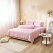 Bộ chăn ga chun Amando Rina 5 chi tiết thông thoáng, mềm mại - Ảnh thumb 17