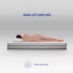 Nệm lò xo Goodnight Sleep Wave giảm tiếng ồn dày 20cm - Ảnh thumb 9