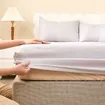 Bộ ga chun tencel cao cấp Goodnight Airsilk - Ảnh thumb 16