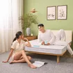 Nệm bông ép cao cấp Wonjun Pure Premium nâng đỡ vững chắc dày 12cm - Ảnh thumb 6