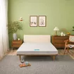 Nệm bông ép cao cấp Wonjun Pure Premium nâng đỡ vững chắc dày 12cm - Ảnh thumb 1