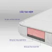 Nệm bông ép cao cấp Wonjun Pure Premium nâng đỡ vững chắc dày 12cm - Ảnh thumb 12
