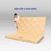 Nệm Bông ép Wonjun Pure Carbon kháng khuẩn ưu việt dày 10cm - Ảnh thumb 11