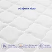 Nệm lò xo Dream Spring cách ly chuyển động dày 25cm - Ảnh thumb 6
