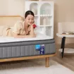 Nệm lò xo Spring Air Back Supporter Firm Cool nâng đỡ làm mát dày 26cm - Ảnh thumb 5