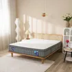 Nệm lò xo Spring Air Back Supporter Firm Cool nâng đỡ làm mát dày 26cm - Ảnh thumb 2