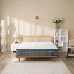 Nệm lò xo Spring Air Back Supporter Firm Cool nâng đỡ làm mát dày 26cm - Ảnh thumb 12
