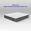 Nệm lò xo Spring Air Back Supporter Firm Cool nâng đỡ làm mát dày 26cm - Ảnh thumb 7
