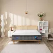 Nệm lò xo Spring Air Back Supporter Firm Cool nâng đỡ làm mát dày 26cm - Ảnh thumb 11