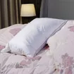 Gối Lông Vũ Giang Sơn Down VIP - Ảnh thumb 1