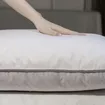 Gối Lông Vũ Giang Sơn Down - Ảnh thumb 3