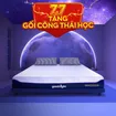 Nệm foam Goodnight Active Hybrid dày 20cm - Ảnh thumb 1