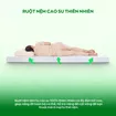 [Mở bán tặng bộ ga chun 1.8 triệu] Nệm cao su 100% thiên nhiên tinh chất trà xanh làm mát Gummi Signature - Ảnh thumb 7