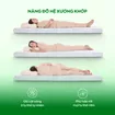 [Mở bán tặng bộ ga chun 1.8 triệu] Nệm cao su 100% thiên nhiên tinh chất trà xanh làm mát Gummi Signature - Ảnh thumb 6