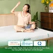 [Mở bán tặng bộ ga chun 1.8 triệu] Nệm cao su 100% thiên nhiên tinh chất trà xanh làm mát Gummi Signature - Ảnh thumb 17
