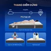 [Mới - Độc quyền] Nệm lò xo túi độc lập 3 vùng Dunlopillo de.Stress Powerful - Ảnh thumb 7