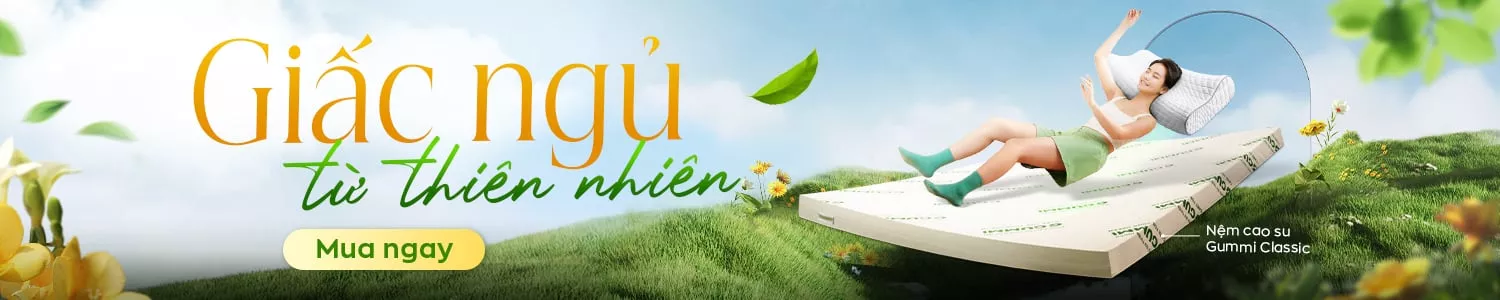 Nệm Cao Su