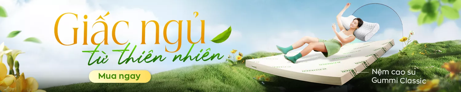 Nệm Cao Su
