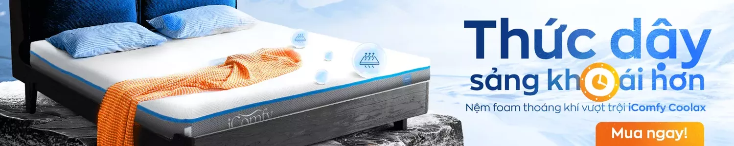https://vuanem.com/nem-foam-icomfy-coolax.html