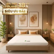 Nệm cao su Gummi 7zones nhập khẩu dày 12cm
