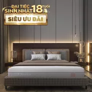Nệm foam Comfy Lux 3.0 cao cấp tương thích toàn diện dày 25cm
