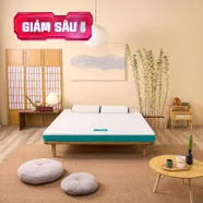 Nệm foam Nhật Bản Aeroflow Standard nâng đỡ cơ thể dày 12cm