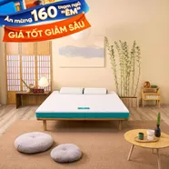 Nệm foam Nhật Bản Aeroflow Standard nâng đỡ cơ thể dày 12cm