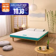 Nệm foam Nhật Bản Aeroflow Standard nâng đỡ cơ thể dày 12cm