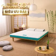 Nệm foam Nhật Bản Aeroflow Standard nâng đỡ cơ thể dày 12cm