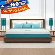 Nệm foam Nhật Bản Aeroflow Wave massage toàn diện dày 20cm