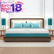 Nệm foam Nhật Bản Aeroflow Wave massage toàn diện dày 20cm