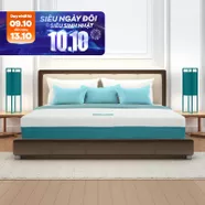 Nệm foam Nhật Bản Aeroflow Wave massage toàn diện dày 20cm