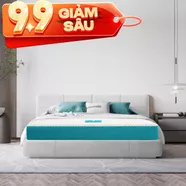Nệm foam Nhật Bản Aeroflow Fit Plus kháng khuẩn dày 20cm