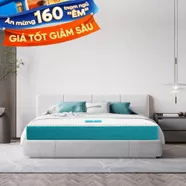 Nệm foam Nhật Bản Aeroflow Fit Plus kháng khuẩn dày 20cm