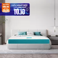 Nệm foam Nhật Bản Aeroflow Fit Plus kháng khuẩn dày 20cm