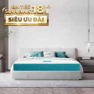 Nệm foam Nhật Bản Aeroflow Fit Plus kháng khuẩn dày 20cm