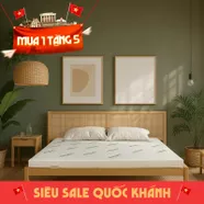 Nệm cao su thiên nhiên Gummi Classic thế hệ mới dày 5/10/15cm