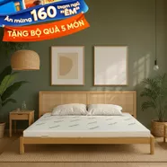 Nệm cao su thiên nhiên Gummi Classic thế hệ mới dày 5/10/15cm