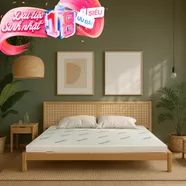 Nệm cao su thiên nhiên Gummi Classic thế hệ mới dày 5/10/15cm