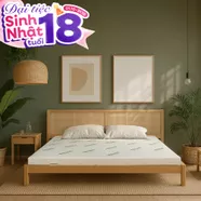 Nệm cao su thiên nhiên Gummi Classic thế hệ mới dày 5/10/15cm