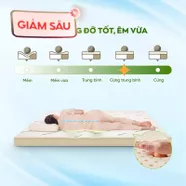 Nệm cao su thiên nhiên Gummi Classic thế hệ mới dày 5/10/15cm